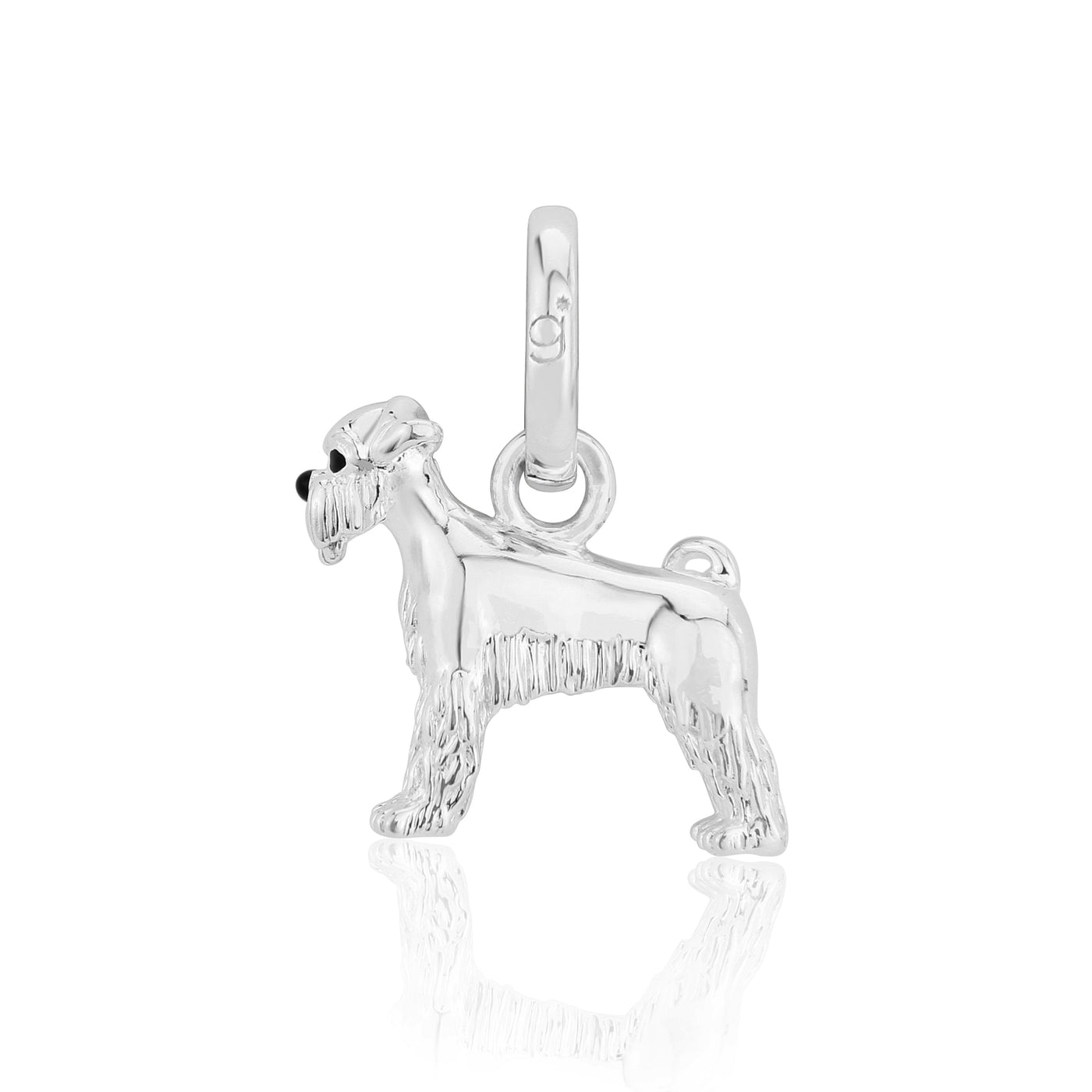 Schnauzer Charm