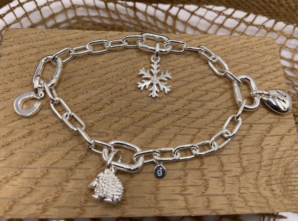 Opening Link Charm Bracelet