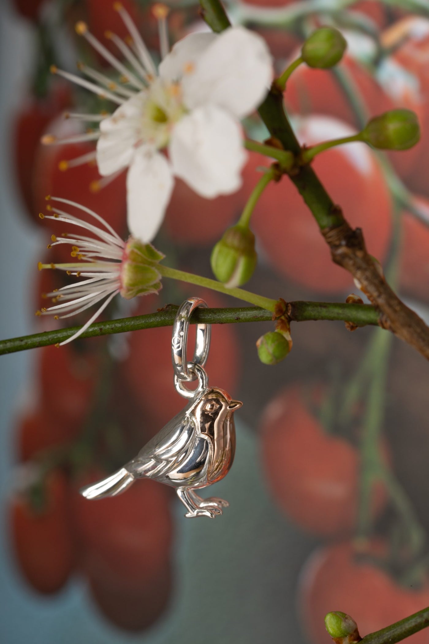 Robin Charm image 2