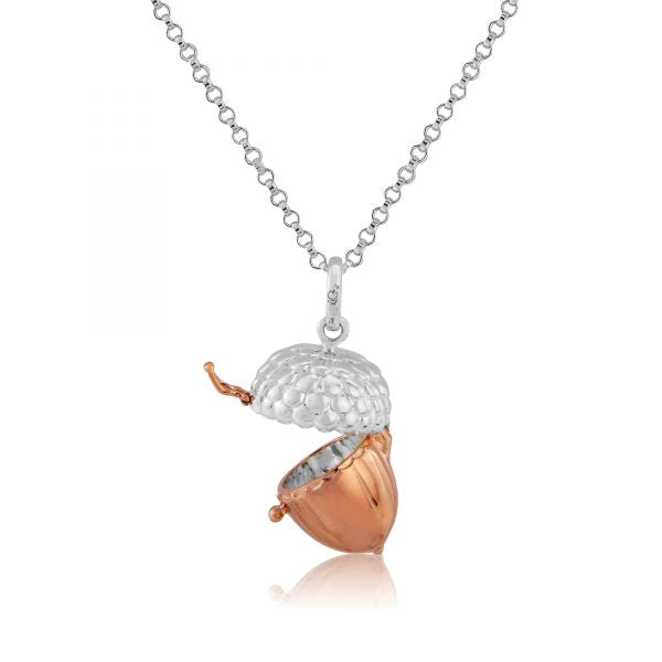 Acorn Box Pendant