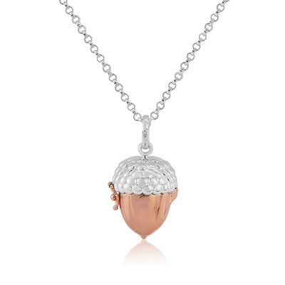 Acorn Box Pendant