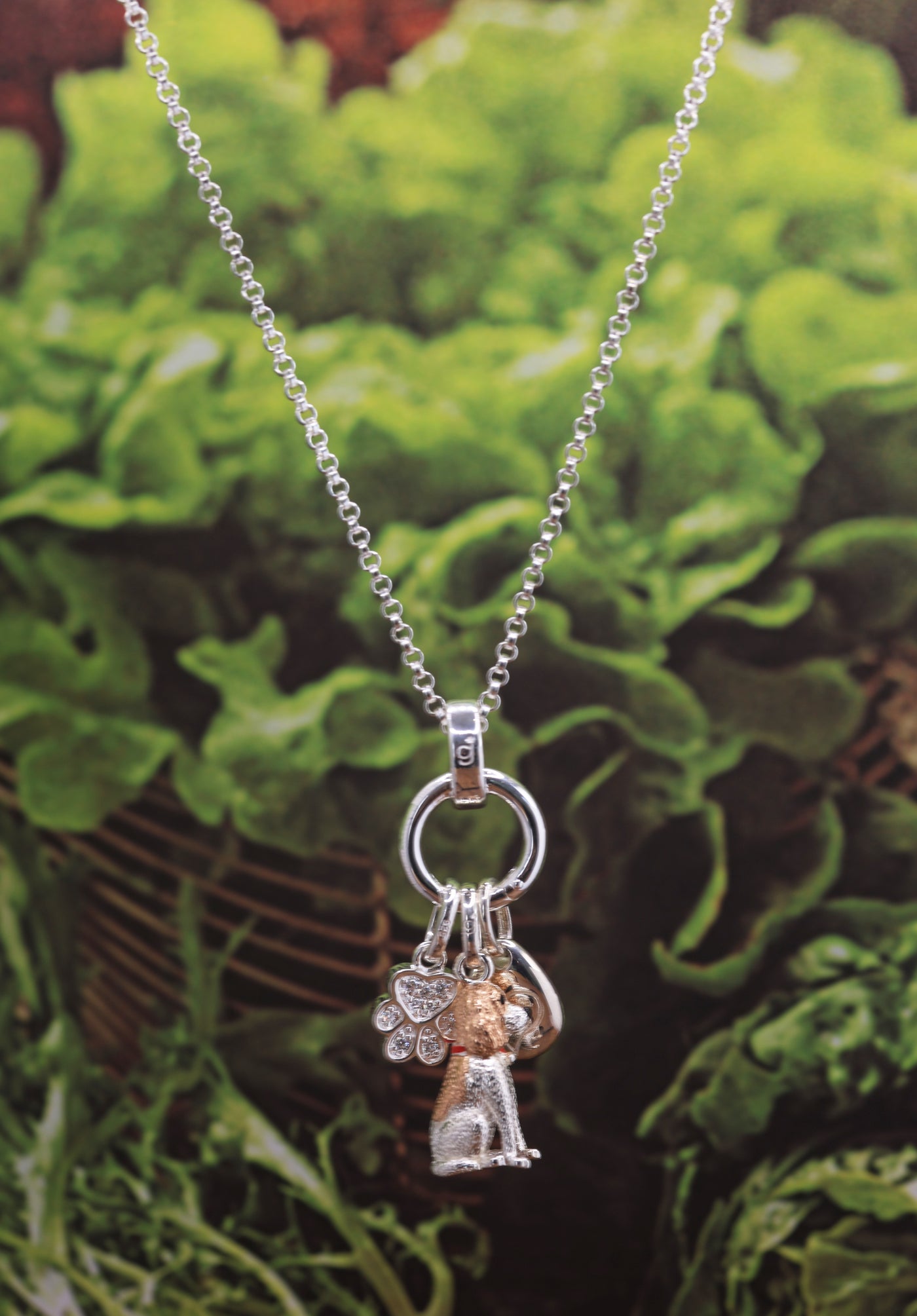Springer Spaniel Charm
