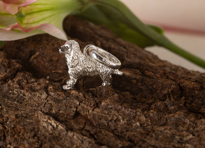 Cocker Spaniel Charm