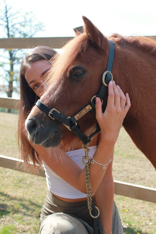 Beaded Equestrian Bracelet