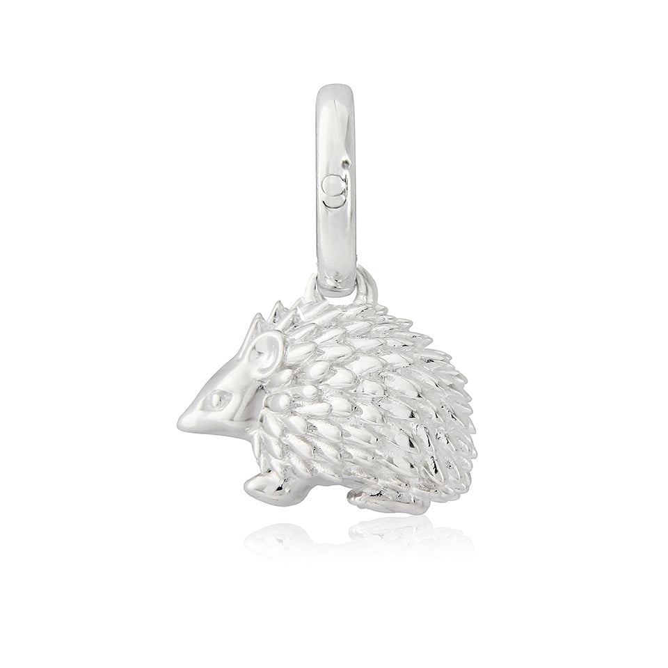 Hedgehog Charm