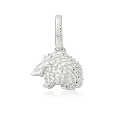 Hedgehog Charm