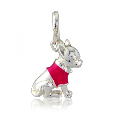 Chihuahua Charm