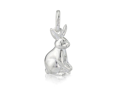 Rabbit Charm