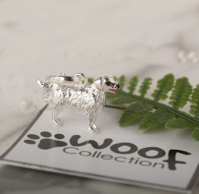 Retriever Charm