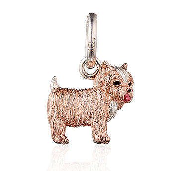 Yorkshire Terrier Charm